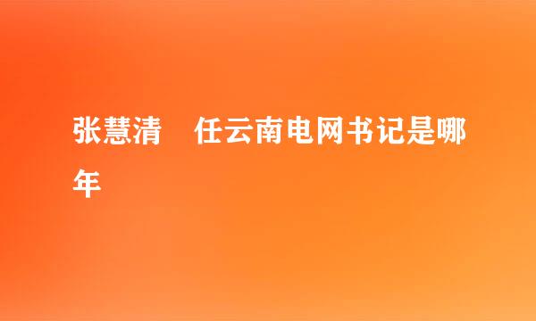 张慧清 任云南电网书记是哪年