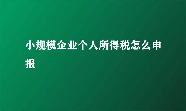 小规模企业个人所得税怎么申报