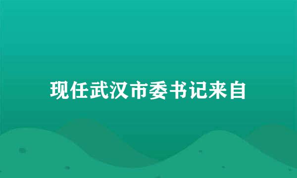 现任武汉市委书记来自