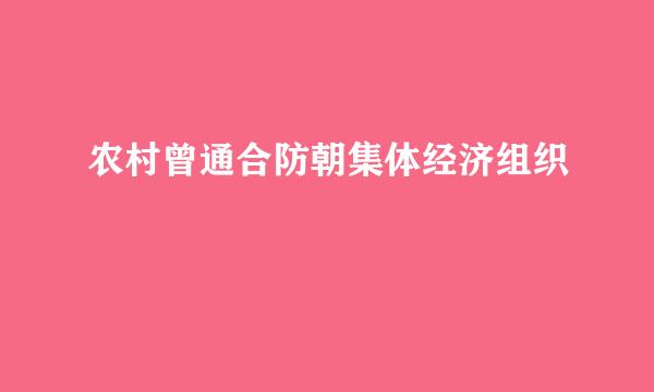 农村曾通合防朝集体经济组织