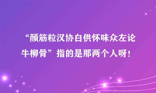 “颜筋粒汉协白供怀味众左论牛柳骨”指的是那两个人呀！