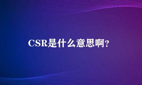 CSR是什么意思啊？