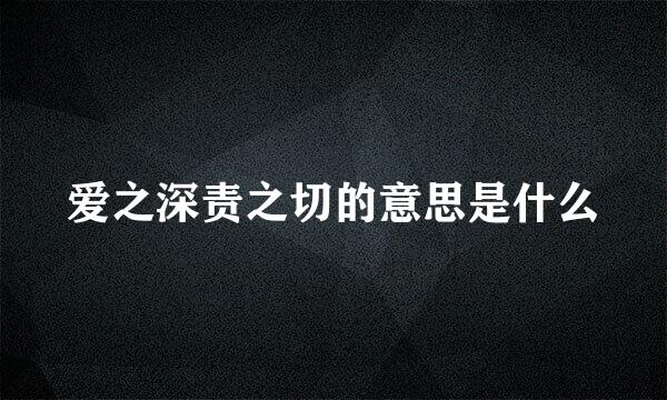 爱之深责之切的意思是什么