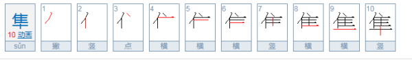 隼 怎么读?