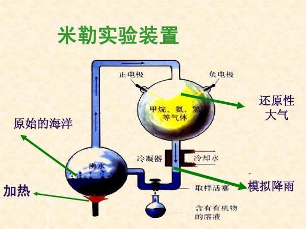 什么是还原性