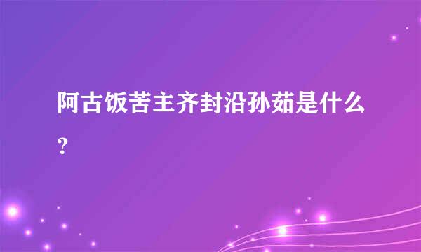 阿古饭苦主齐封沿孙茹是什么？