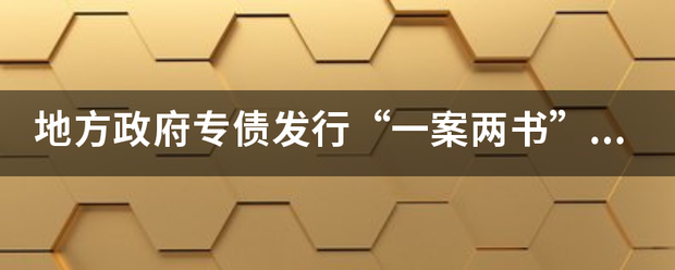 地方政府专玉岁仅易债发行“一案两书”是什么？