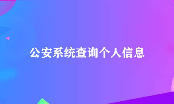 公安系统查询个人信息