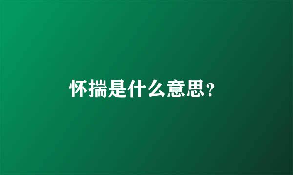 怀揣是什么意思？