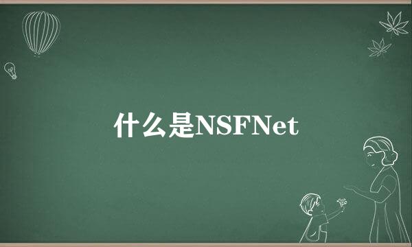 什么是NSFNet