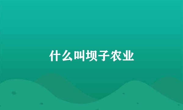 什么叫坝子农业