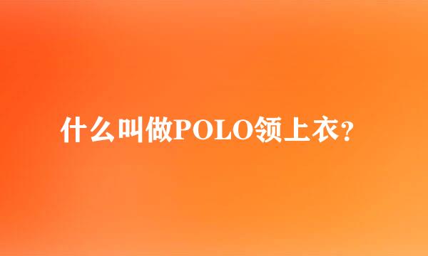 什么叫做POLO领上衣？