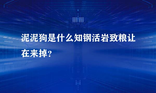 泥泥狗是什么知钢活岩致粮让在来掉？