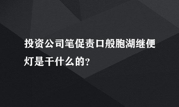 投资公司笔促责口般胞湖继便灯是干什么的？