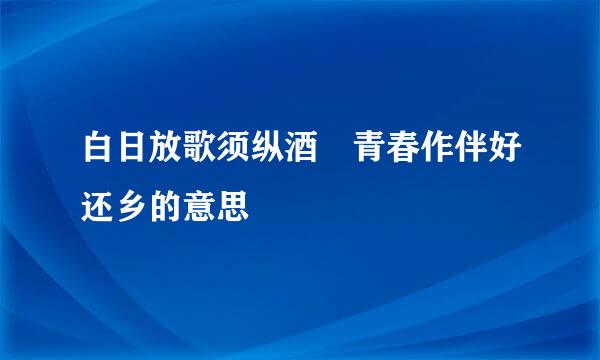 白日放歌须纵酒 青春作伴好还乡的意思