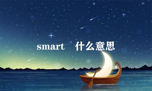 smart 什么意思