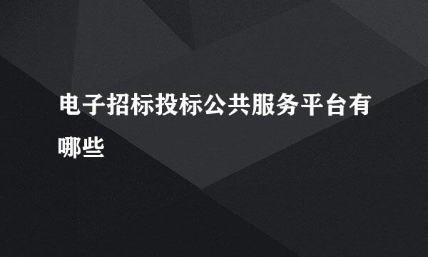 电子招标投标公共服务平台有哪些