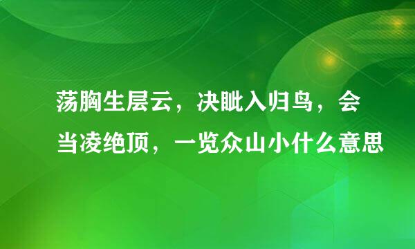 荡胸生层云，决眦入归鸟，会当凌绝顶，一览众山小什么意思