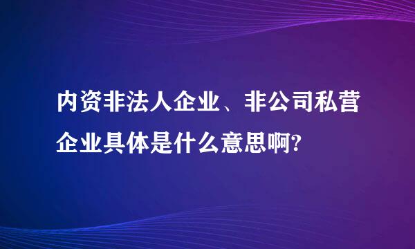 内资非法人企业、非公司私营企业具体是什么意思啊?