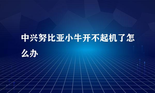 中兴努比亚小牛开不起机了怎么办