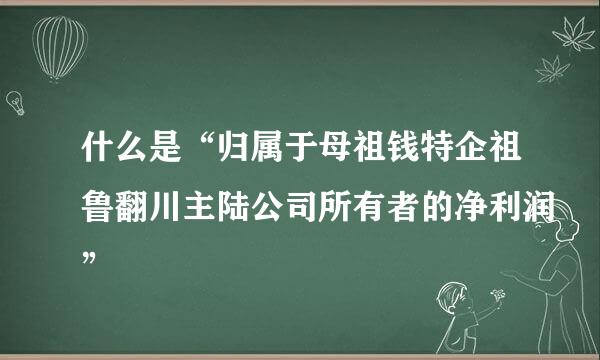 什么是“归属于母祖钱特企祖鲁翻川主陆公司所有者的净利润”