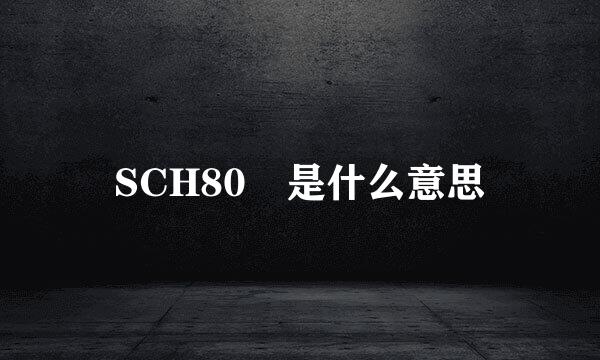 SCH80 是什么意思