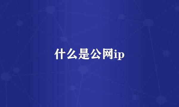 什么是公网ip