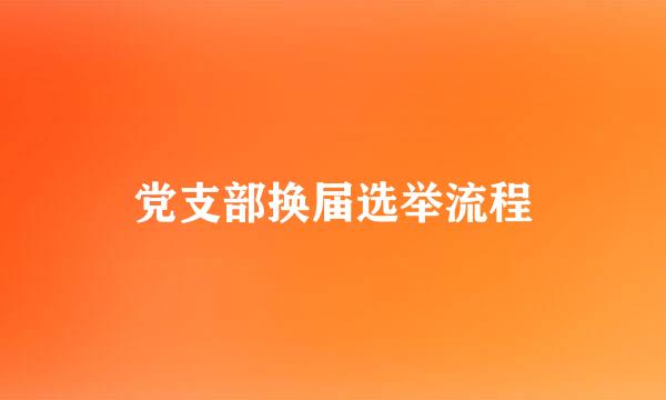 党支部换届选举流程