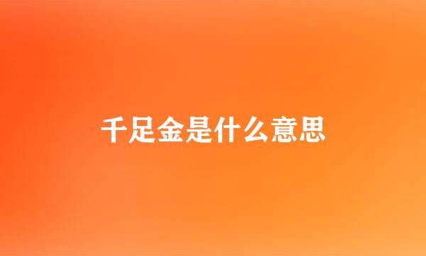 千足金是什么意思