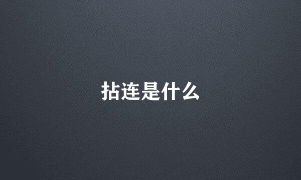 拈连是什么