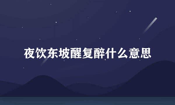 夜饮东坡醒复醉什么意思