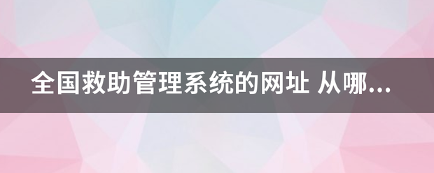 全国救助管理系统的网址