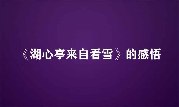 《湖心亭来自看雪》的感悟