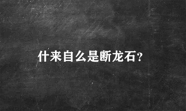 什来自么是断龙石？