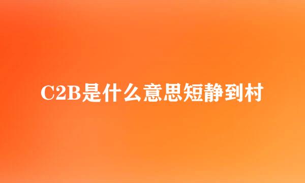 C2B是什么意思短静到村