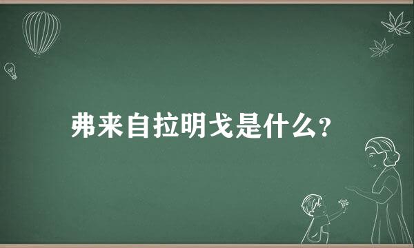 弗来自拉明戈是什么？