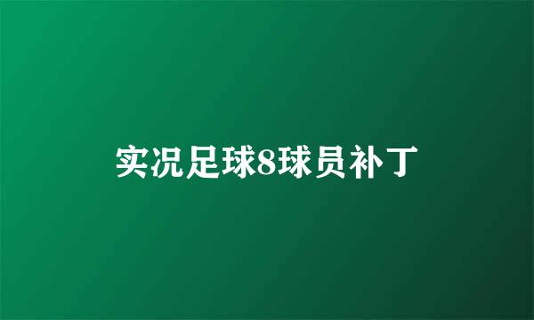 实况足球8球员补丁