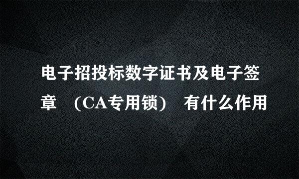 电子招投标数字证书及电子签章 (CA专用锁) 有什么作用