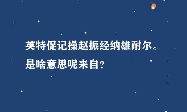 英特促记操赵振经纳雄耐尔。是啥意思呢来自？