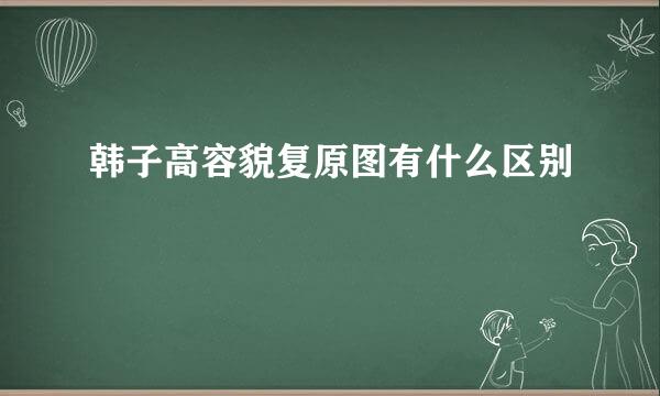 韩子高容貌复原图有什么区别