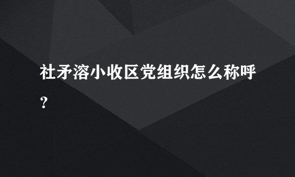 社矛溶小收区党组织怎么称呼？