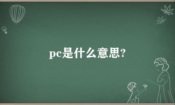 pc是什么意思?