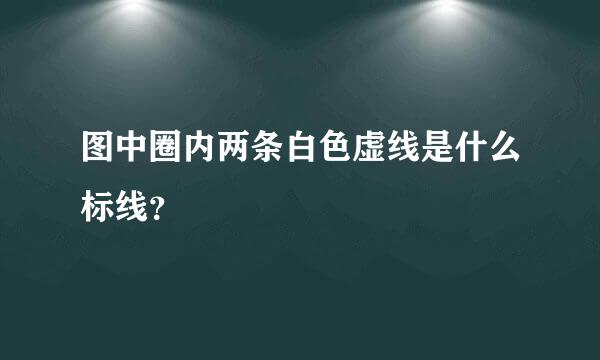 图中圈内两条白色虚线是什么标线？