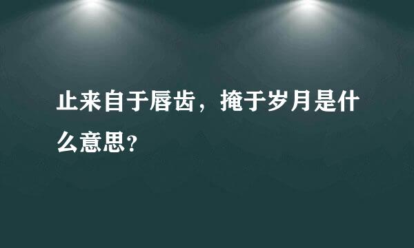 止来自于唇齿，掩于岁月是什么意思？