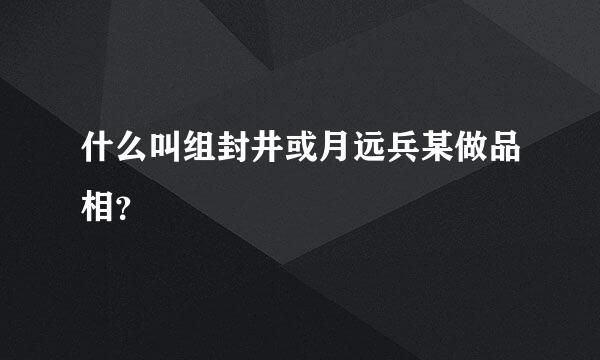 什么叫组封井或月远兵某做品相？