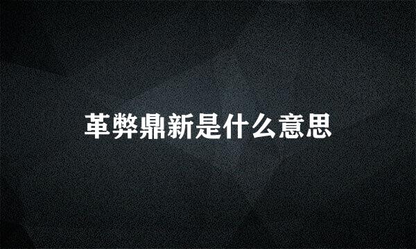 革弊鼎新是什么意思