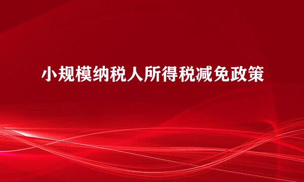 小规模纳税人所得税减免政策