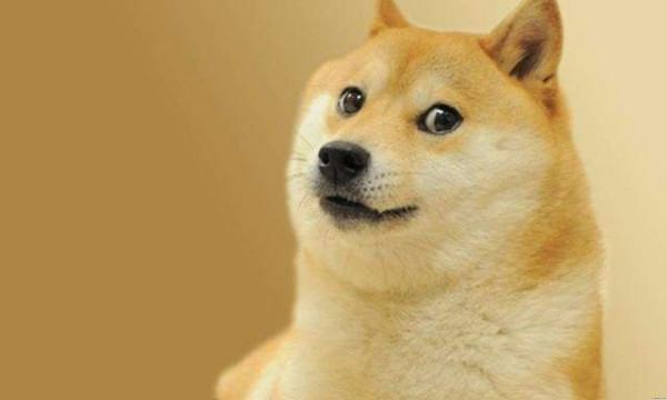 qq中回复doge表情是什么意思？