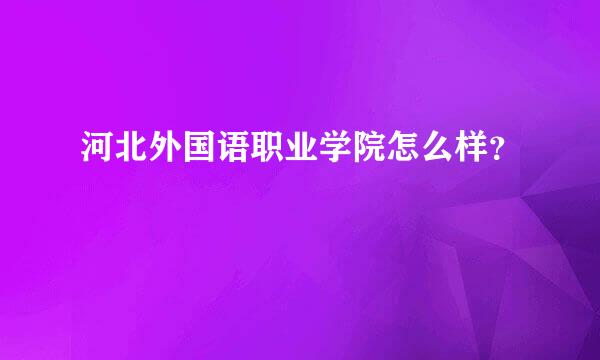 河北外国语职业学院怎么样？