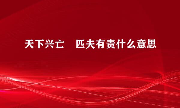 天下兴亡 匹夫有责什么意思